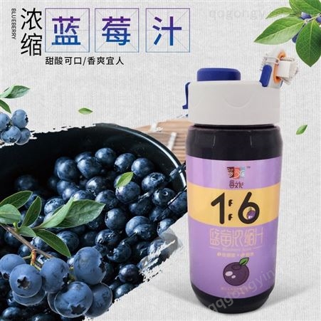 莓文化蓝莓汁 浓缩蓝莓汁 冲调蓝莓果汁饮料660g瓶装供应