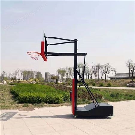 泰昌篮球架 LQ-1022儿童升降篮球架 户外移动篮球架