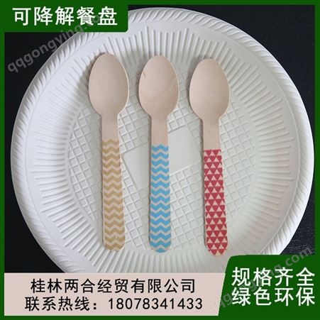 一次性盘子可降解防水防油烧烤野餐盘四 川工厂出售