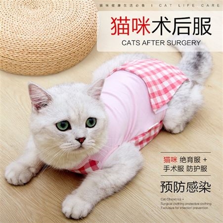 新款宠物衣服绝育服亚马逊猫咪术后猫咪用品高弹现货批发