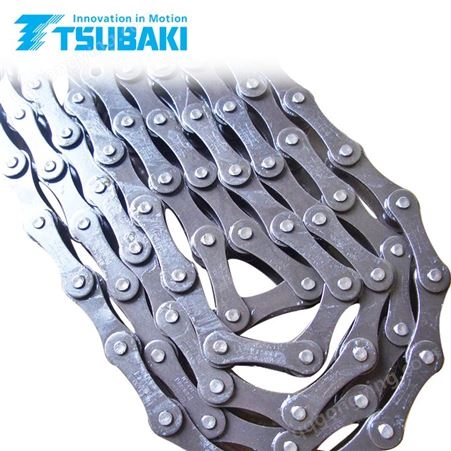 Tsubaki椿本双倍节距滚子链RS2060单排模切机用链条3.048米/条