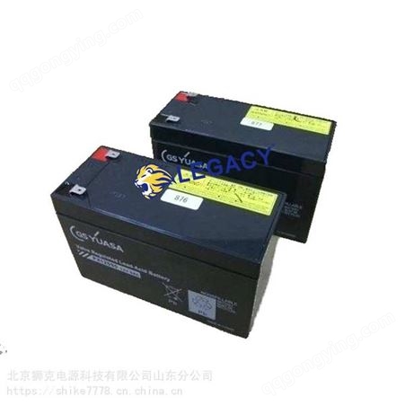 PXL12050日本GS蓄电池PXL1205012V5AH高倍率蓄能电源