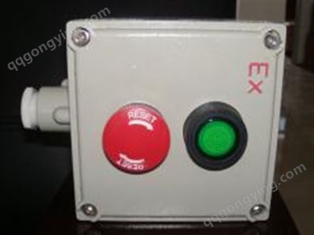BZA53防爆按钮 防爆控制按钮
