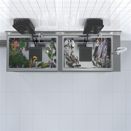 水果蔬菜清洗机商用超声波食材净化消毒解毒洗菜净食机 水氪