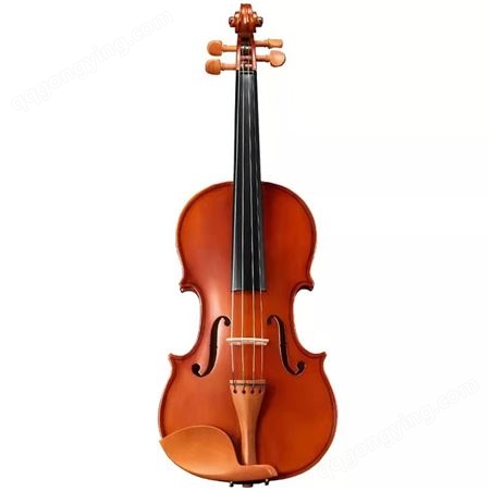 红棉小提琴中提琴大提琴 手工云杉木欧料高级普及儿童成人