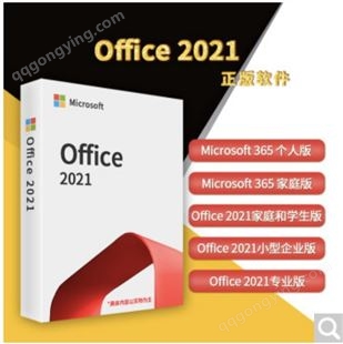 Office 2007/2010/2013/2016/2019/2021小型企业版/专业版