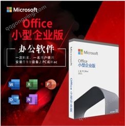 微软正版办公软件Office 2021/office 2021小型企业版彩包/office