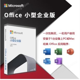 微软正版办公软件Office 2021/office 2021小型企业版彩包/office
