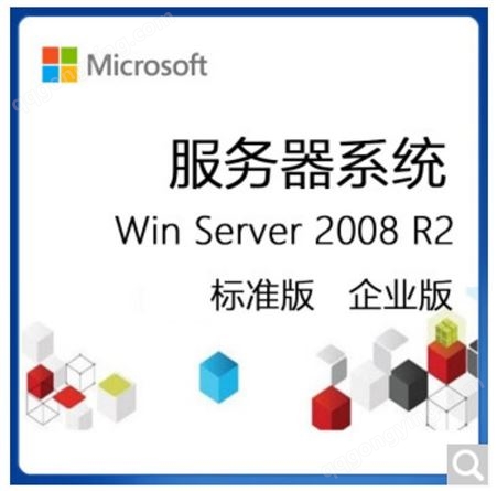 windows server2016标准版std嵌入式win svr2016std EMB系统软件