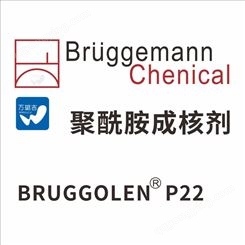 德国布吕格曼聚酰胺成核剂缩短注塑成型 BRUGGOLEN P22 成核剂