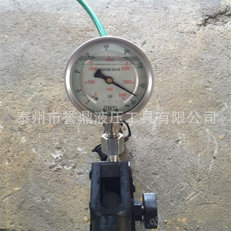 誉鼎专业生产手动油泵 200MPa压 小型液压泵站高压 按需定制