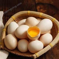 蛋鸡用辣椒油粉 蛋鸡辣椒油粉是蛋鸡养殖福音