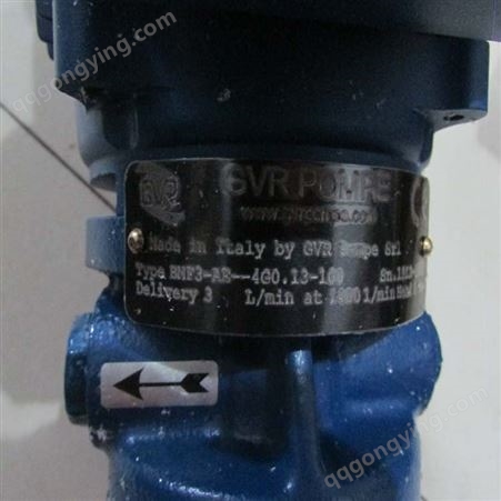 部分型号有库存GVR泵GVR离心泵GVR齿轮泵