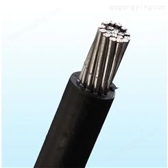 广东电缆 1kV及以下交联聚乙烯绝缘架空电缆 厂家发货 质量保证
