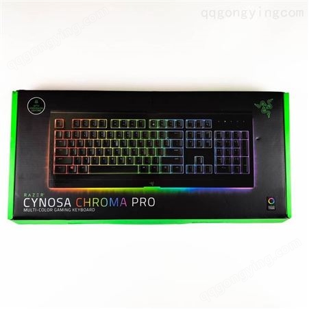 Razer雷蛇萨诺狼蛛薄膜有线游戏键盘Cynosa V2//幻彩版