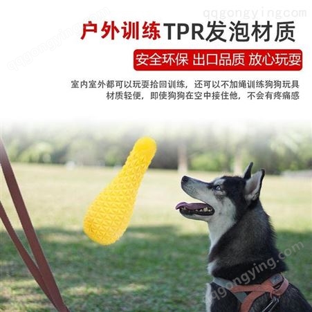 2021年跨境新品 宠物狗狗保龄球牙刷洁齿漏食球磨牙棒咬啃玩具用品 狗玩具价格 棒棒硅胶